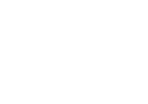 Vision Pro Academy · Est. 2024 · Revelando seu chamado